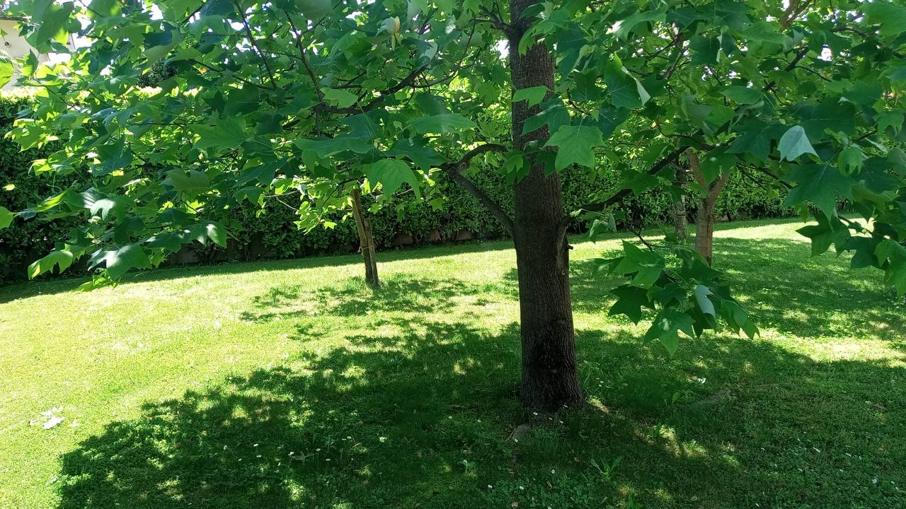 img 1