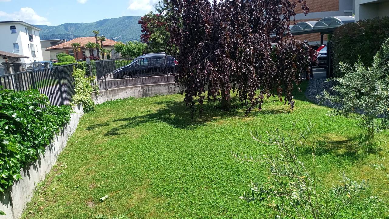 img 1
